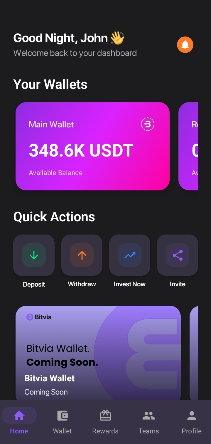 Bitvia App Dashboard